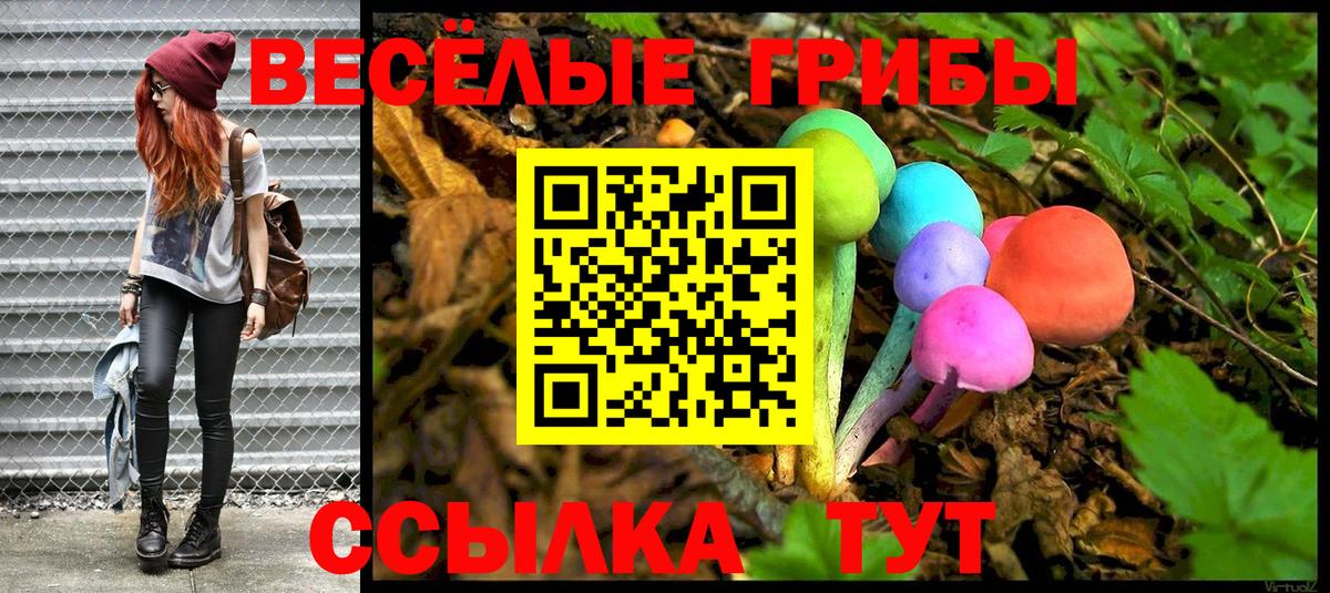 Галлюциногенные грибы ЛСД  Вход с VPN  Чистополь 