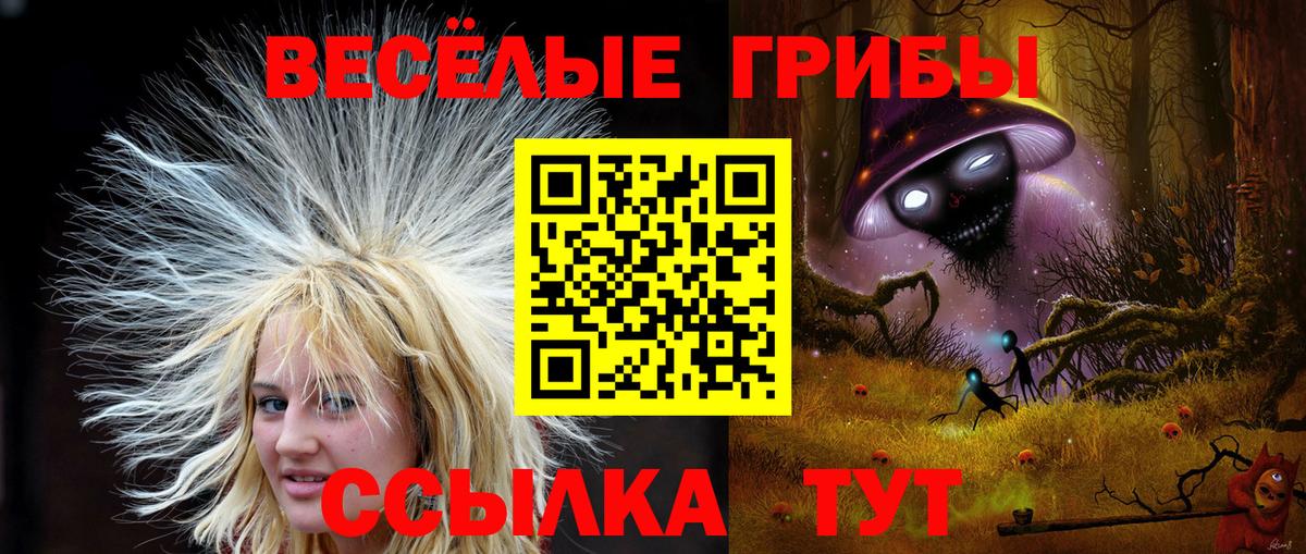 Псилоцибиновые грибы Psilocybe Чистополь